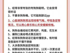 史上最坑爹的游戏9第22关攻略：狗狗保安的巧妙通关策略