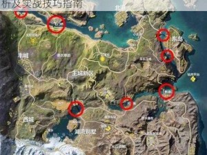 荒野行动东岛新地图攻略：堵桥与捞鱼战术解析及实战技巧指南