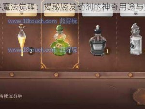 哈利波特魔法觉醒：揭秘竖发药剂的神奇用途与魅力之源