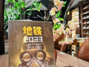 《2033地铁困境破解：跳出难题的多元策略》