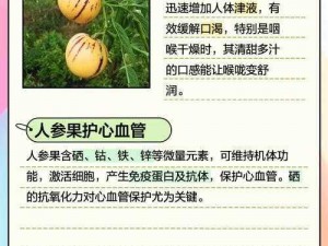 大唐游仙记之探寻人参果的奥秘与获取之道：人参果获得方法详解