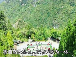 药王谷化雨金针传奇之地：探秘自然康养胜地中的古老神秘能量源泉