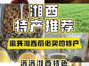 狠狠色噜噜色狠狠狠综合：优质原料，口感鲜美，营养丰富