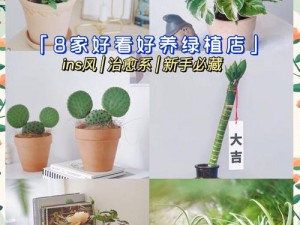 口袋植物新手必读：从零开始，实用攻略助你成为植物达人