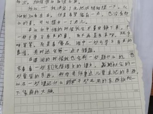 光明与黑暗融合：一统大陆后的反思与心得分享