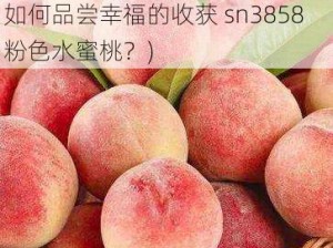 幸福的收获sn3858粉色水蜜桃(如何品尝幸福的收获 sn3858 粉色水蜜桃？)