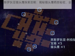 破晓传说西斯罗狄亚猫头鹰探索攻略：揭秘猫头鹰栖息秘密，全区域收集指南