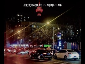 抖音谁兴风作浪谁怀念昔日旋律：一首穿越时光的情感之歌