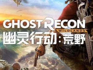 Steam《幽灵行动荒野》无法启动解析与解决方案探究