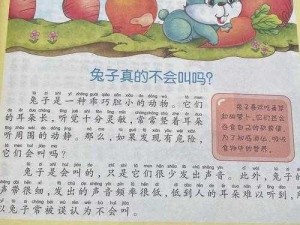 老师的兔子真好听;如何评价老师的兔子真好听？