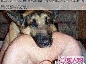 欧美人与动牲交A精品【探寻欧美人与动物交媾的精品视频】