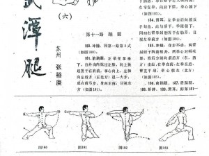 大掌门攻略：深入解析武功系统之秘籍与策略