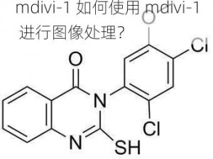 mdivi-1 如何使用 mdivi-1 进行图像处理？