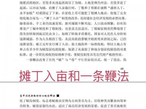 实事解读：一条鞭策略背后的力量：社会现象与经济转型关键之解析