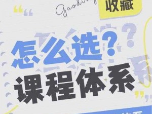 从深度解析到实战体验：小爱神AD与AP流差别的第一视角探索