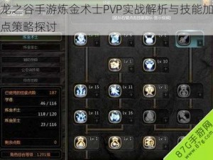 龙之谷手游炼金术士PVP实战解析与技能加点策略探讨