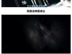 群体交乱TXT、探寻群体交乱背后的真相：TXT 文档