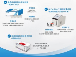 轻量版 palipali 在线检测——快速、精准的检测工具