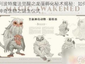 哈利波特魔法觉醒之龙蛋孵化秘术揭秘：如何激活神奇生物之诞生仪式