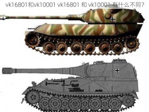 vk16801和vk10001 vk16801 和 vk10001 有什么不同？