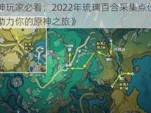 《原神玩家必看：2022年琉璃百合采集点位置一览，助力你的原神之旅》