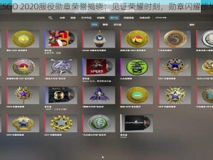 CSGO 2020服役勋章荣誉揭晓：见证荣耀时刻，勋章闪耀战场