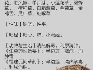 17C一草名字_17C 一草名字究竟有何含义？