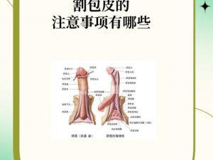 男人割了皮包什么样子要手举着呢_男人割了皮包后为什么要手举着？