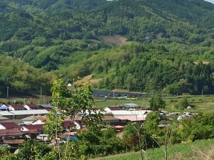 东北山村情事-东北山村的别样风情