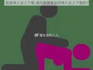 阳茎伸入女人下面,请问阳茎是如何伸入女人下面的？