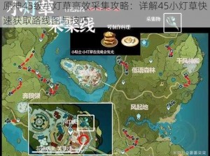 原神45级小灯草高效采集攻略：详解45小灯草快速获取路线图与技巧