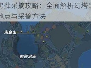 幻塔黑藓采摘攻略：全面解析幻塔黑藓的采摘地点与采摘方法