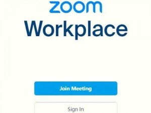 俄罗斯 ZOOM 人与 ZOOM2，功能强大的视频会议软件