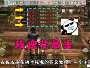 明日之后玫瑰种子获取攻略：全面解析玫瑰种子获得方法