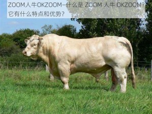 ZOOM人牛OKZOOM—什么是 ZOOM 人牛 OKZOOM？它有什么特点和优势？