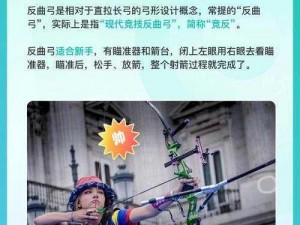 箭术瞄准精准：多箭截图预览功能实战解析