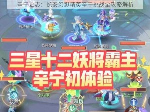 辛宁之志：长安幻想精英辛宁挑战全攻略解析