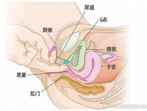 男女之间的梅花三弄的含义是什么？一款私密健康产品解答