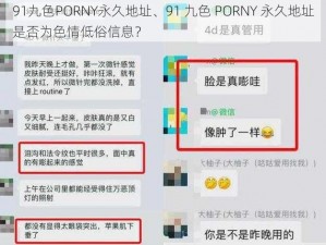 91九色PORNY永久地址、91 九色 PORNY 永久地址是否为色情低俗信息？