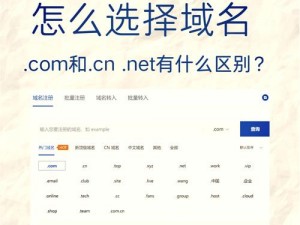 yp 请牢记 10 个此域名防止丢失，安全可靠的域名管理工具