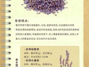 薰衣草研究所2023【薰衣草研究所 2023：探秘薰衣草的奥秘】