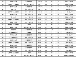 荷兰姓交大2024—荷兰姓交大 2024：打造全球卓越的研究型大学