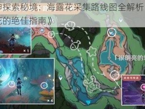 《原神探索秘境：海露花采集路线图全解析，寻找海露花的绝佳指南》