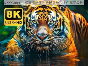 FreeHDⅩXXXvideo，超高清画质，流畅播放，让你享受极致视觉体验