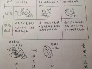 江南百景图贰平星蚕宝宝任务攻略详解：完成蚕宝宝任务流程及注意事项分享