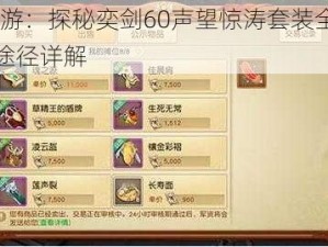 天下手游：探秘奕剑60声望惊涛套装全攻略——获取途径详解