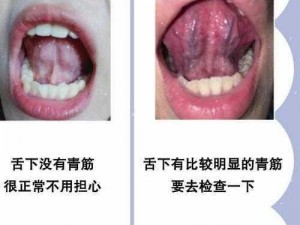 舌头一路向下探(舌头一路向下探，探寻口腔的奥秘)