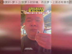 拔萝卜痛又降黄91-萝卜上(拔萝卜时好痛，而且萝卜上面还有黄色的液体渗出)