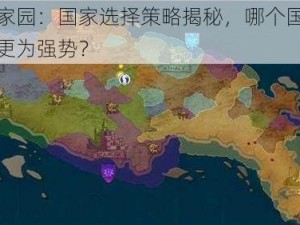 剑与家园：国家选择策略揭秘，哪个国家的色彩更为强势？