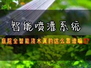 被系统浇灌的日常：智能浇灌系统，让你的花草绿植茁壮成长